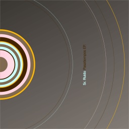 bump050 cover image