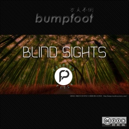 bump204 cover image